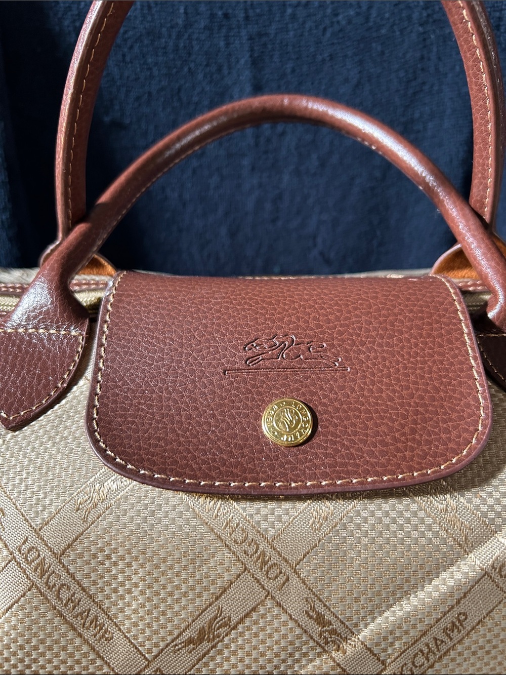 Longchamp Vintage Beige and Brown Tote with Logo Monogram Pattern - Picture 3 of 16